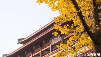 精妙经典名句