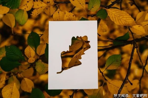岁月拐角，洒满光亮