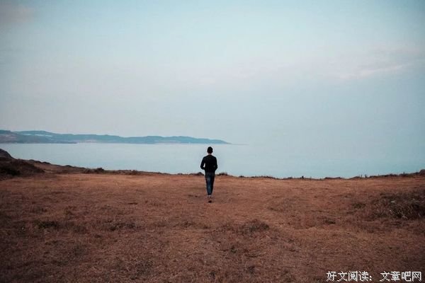 人最大的聪明，是向愚蠢低头