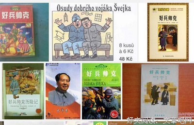 《好兵帅克》读后感100字