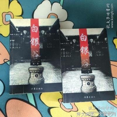 白银谷（上下）读后感100字