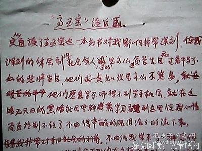 高玉宝经典读后感有感