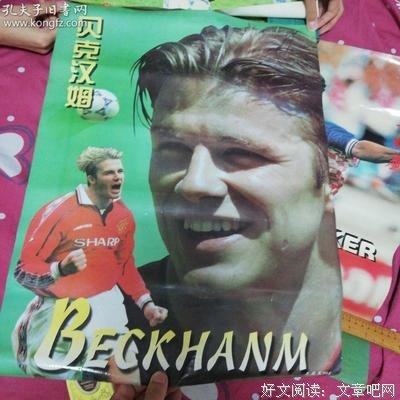 《圆月弯刀》经典读后感有感