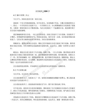 《百合花》经典读后感有感