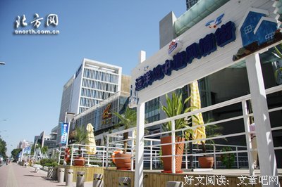 《北方的河》经典读后感有感