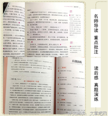 实践感读后感100字