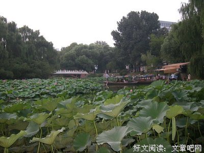 《漂泊手记》读后感1000字