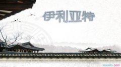 《伊利亚特》的读后感大全