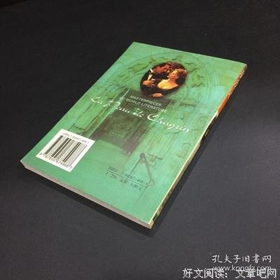 《驴皮记》经典读后感有感
