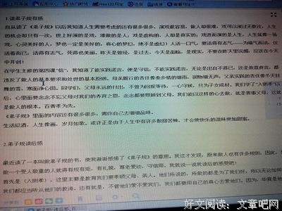 《学徒 第一季》观后感100字