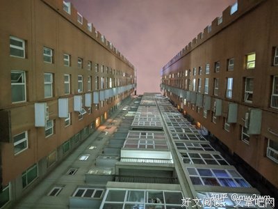 《谷歌与世界头脑》经典观后感有感