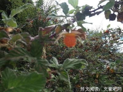 关于左顾右盼的名言
