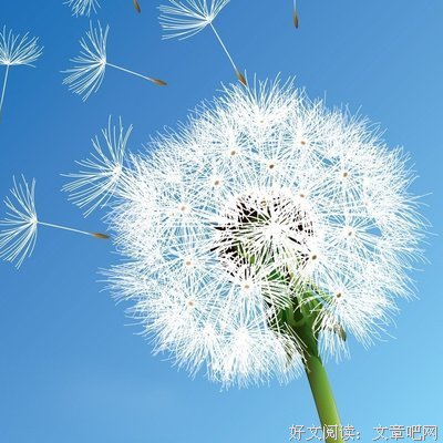 影视经典经典名句