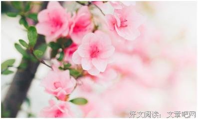 傲娇的句子
