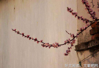 遮中也那路会句子