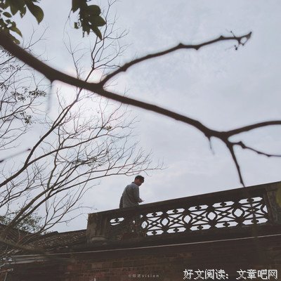 倾诺优美的句子