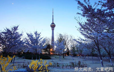 最全的安樱的名言