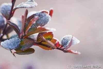 《散落星河的实便忆》经典句子大全