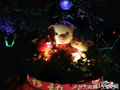 最全的《梦灯笼》经典语句大全