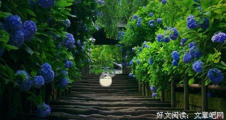勇往直前的语句摘抄_关于勇往直前的语句