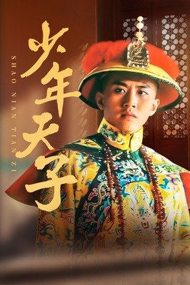 《少年天子》读后感100字