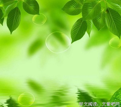 关于岁岁年年的格言