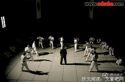 《野鸭子2》的观后感大全