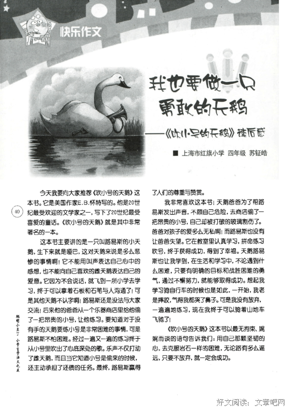 吹小号的天鹅读后感100字