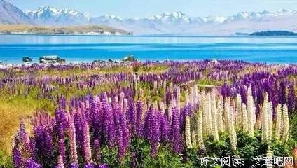 关于如梦如幻的格言