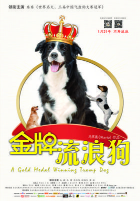 《金牌流浪狗》影评摘抄