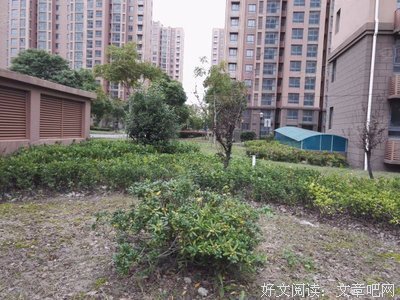 《南行》经典影评有感