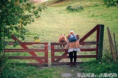 15条关于不声不响的经典语句