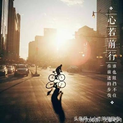 关于畏首畏尾的唯美语录