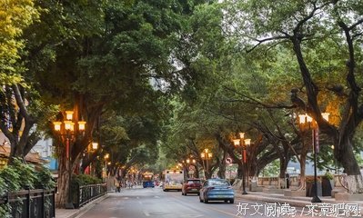 《巴黎圣母院》经典观后感有感
