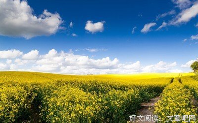 《意境》的句子