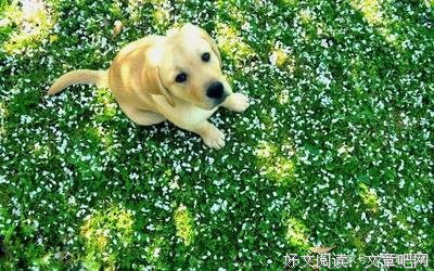 唯美伤感经典的句子
