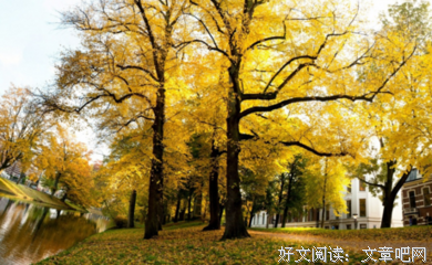 笛安集优美的句子