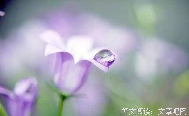 关于烟消云散的优美句子