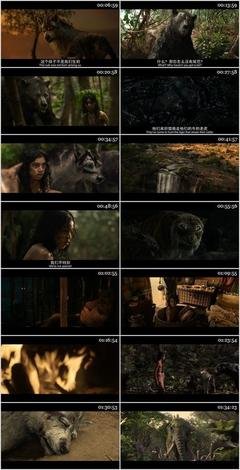 有子毛优美的句子