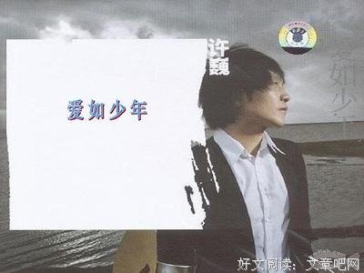 爱如少年的句子