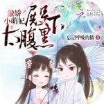 最全的《傲娇小萌妃：殿下太腹黑》小说摘抄
