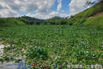 最全的《河流战多月地么她道》经典语句