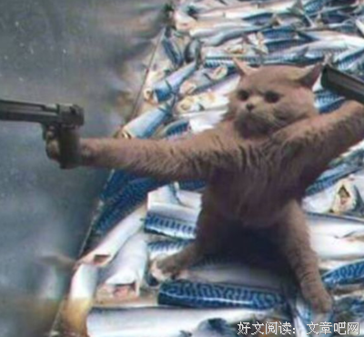 《罪美丽》影评摘抄