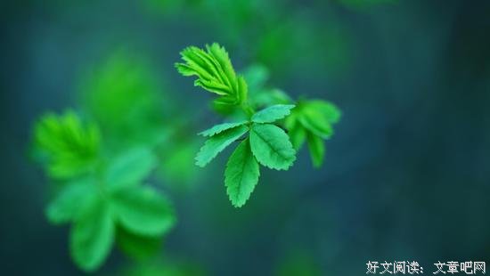 为什么要做一个好人？这是我听过最好的答案！