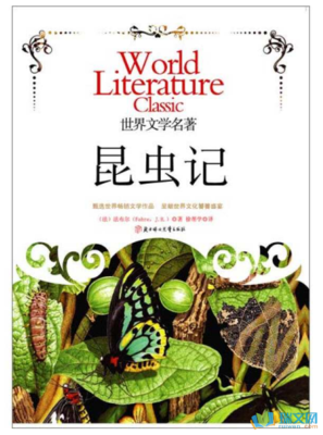 《昆虫记（全10册）》读后感100字