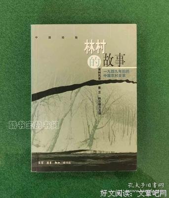 《林村的故事》读后感摘抄