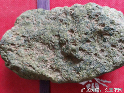 流星雨解毒片读后感1000字