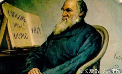 达尔文的黑匣子读后感100字