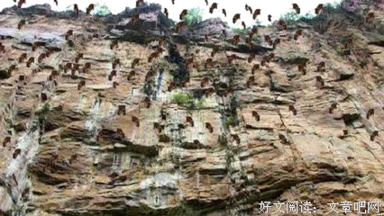 蛇为什么会飞读后感100字