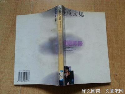 婚姻即景读后感100字